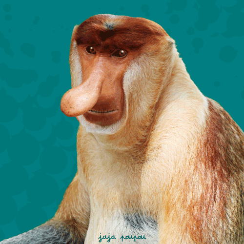 Guillaume Gaudart — Motion designer