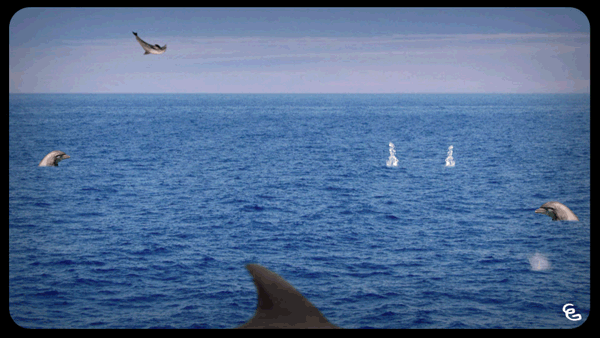 Guillaume Gaudart — Motion designer