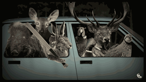 Guillaume Gaudart — Motion designer