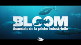 Guillaume Gaudart — Motion designer